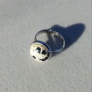 Dalmatian Jasper ring